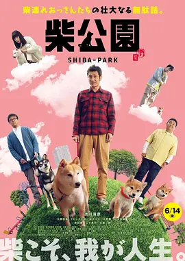 电脑壁纸雏田