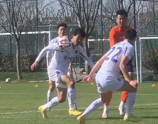 埃及猫视频