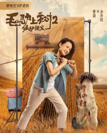 亚洲高清视频在线观看