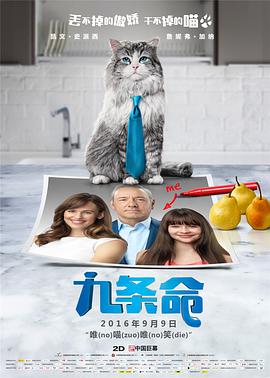 夜晚的聚会