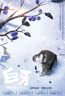 欧美性视频一区二区三区