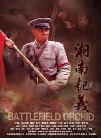 免费a级网站