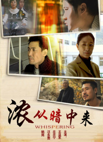 中文不卡视频